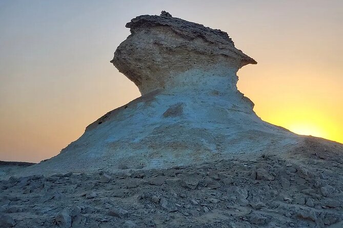 Doha : West Coast Tour on Zekreet Peninsula - Al Shahaniya Racetrack and the robot jockey show