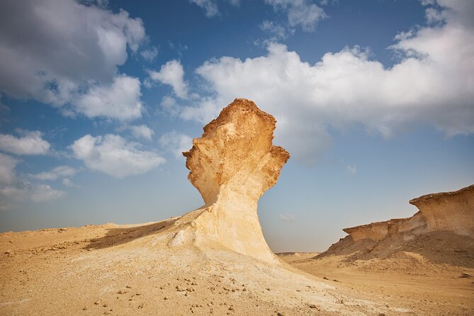 Doha : West Coast Tour on Zekreet Peninsula - Price and value: why $75 per person can work