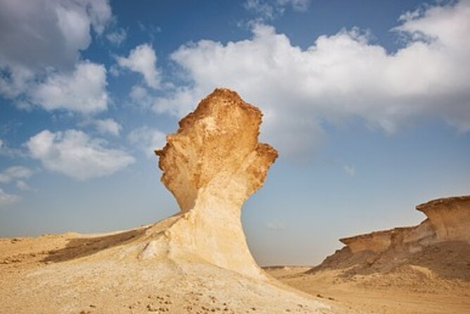 Doha: West Coast Tour Serra and Mushroom Rocks - Guides Like MK, Zia, Amir, and Shazaib: What You Get Beyond Driving
