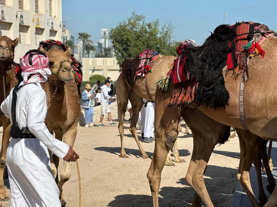 Doha: West Qatar Guided Journey With Pickup & Drop-Off - Zekreet Fort Ruins: A Coastal Heritage Break