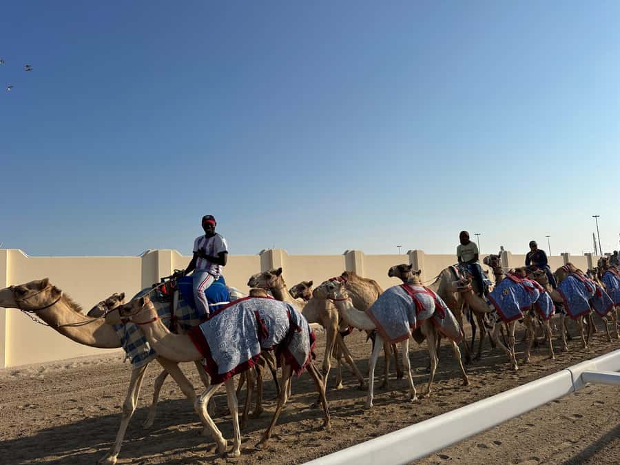 Doha: West Qatar Guided Journey With Pickup & Drop-Off - Guide Style, Timing, and What 4 Hours Feels Like