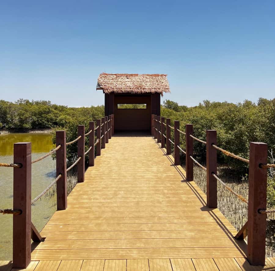 Doha: Zubara UNESCO Site, Mangroves & Jumail Village - Leaving Doha: the photo stop and the drive that sets the mood