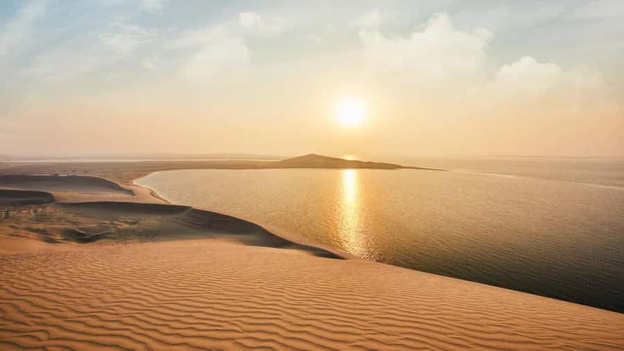 Dune Bashing &Beyond The Ultimate Desert Safari From Doha - Safety, Who It Fits, and Who Should Skip It