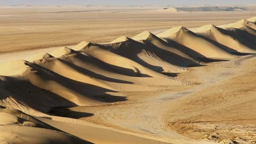 Dune Bashing, Sandboarding, Camel Ride & Optional ATV Ride - Why This Doha Desert Safari Hits Hard in Only 4 Hours