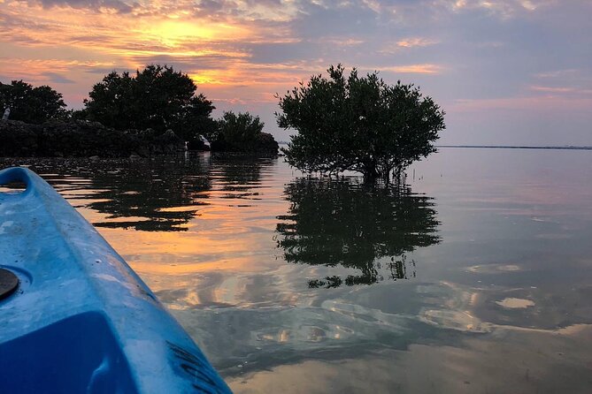 Eco Kayaking Adventure – Mangrove Exploration at Purple Island - Key highlights to know before you go