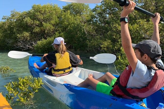 Eco Kayaking Adventure – Mangrove Exploration at Purple Island - The Purple Island story and the flag design connection