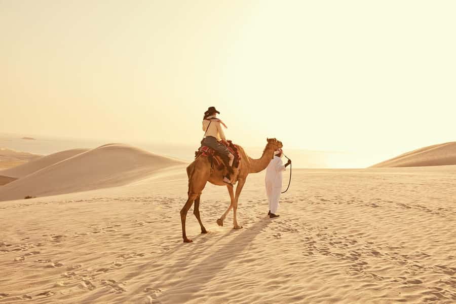 Explore desert Qatar: Off-Road Adventures, dune bashing Tour - Should You Book Desert Track Tourism’s Dune Bashing Tour?