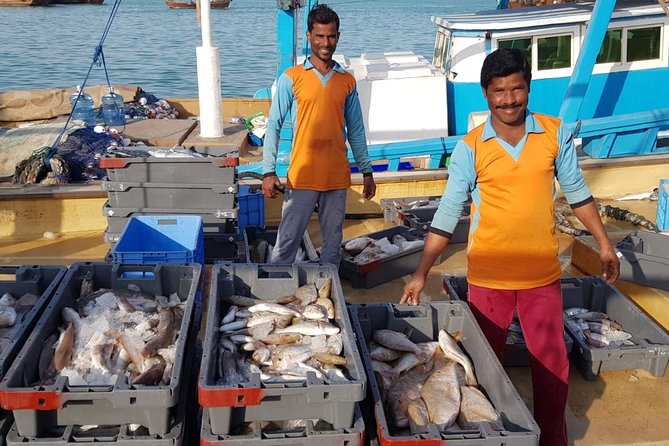 Explore North of Qatar: Visit Zubarah Fort and Fishing Town of Al Khor - Who should book this tour, and who should skip it