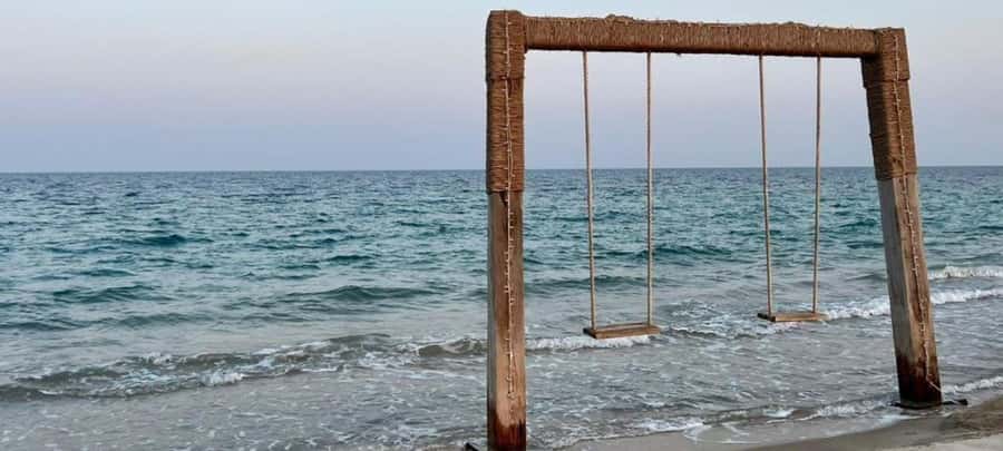 From Doha: 8-hour Safari Tour with Desert Beach Experience - Guides Matter: Why Ali, Ibrahim, and Husain Show Up in Happy Memories