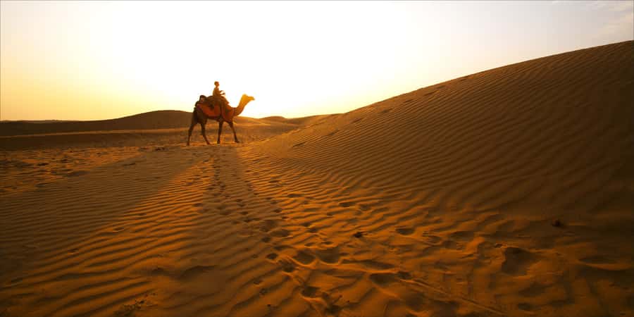 From Doha: Exclusive Monster Bus Safari Experience - Dune bashing on steep sand hills, your 45-minute action block