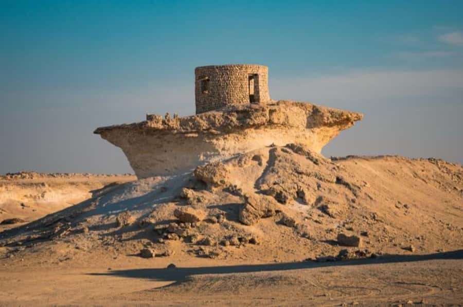 From Doha: Full-Day Tour to Qatar North and West - Who Should Book This North and West Qatar Day Trip