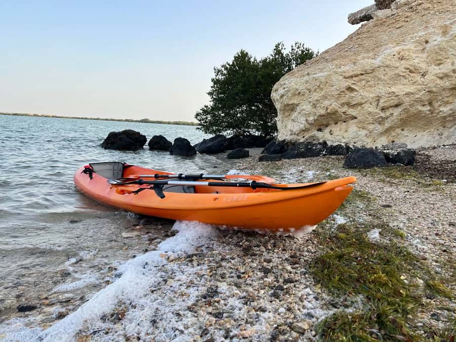From Doha: Mangroves Kayaking Adventure - Key Things to Know Before You Paddle
