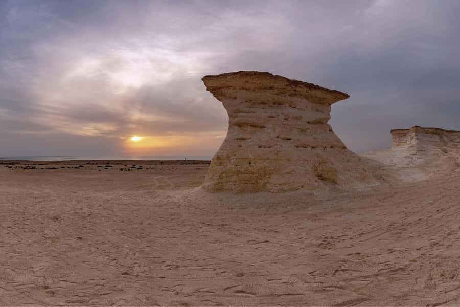 From Doha: Private West Coast and Camel Race Track Tour - Key highlights worth your attention