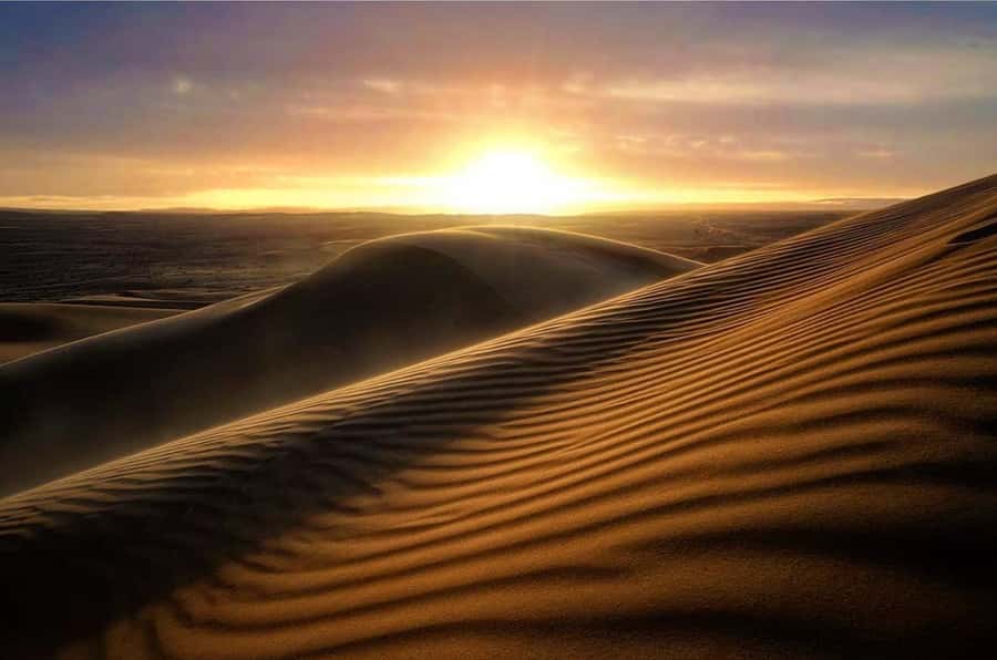From Doha: Sunrise or Sunset Safari with Sand Boarding - The 4x4 Dune Bashing Part: Tire Deflation and Real Control