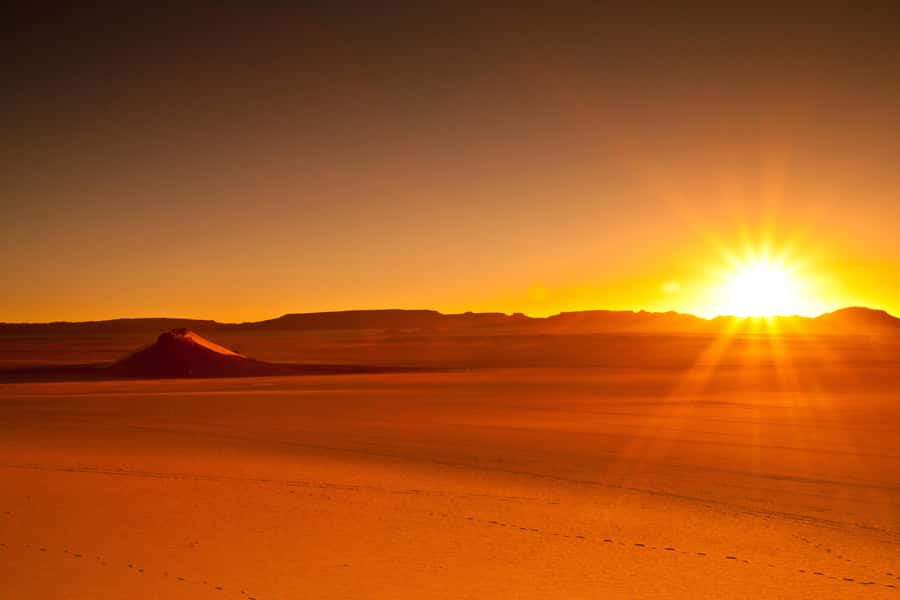 From Doha: Sunrise or Sunset Safari with Sand Boarding - Price and Value: Is $27 Worth It for 4 Hours?
