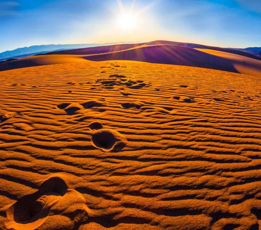 From Doha: Sunrise or Sunset Safari with Sand Boarding - FAQ
