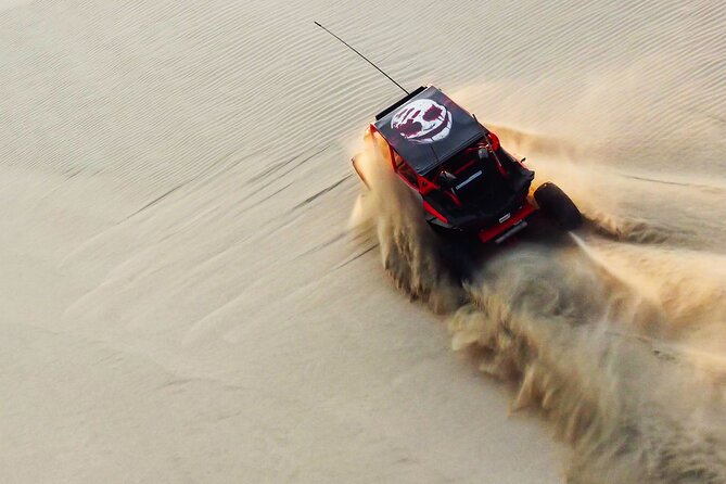 Full Day Desert Safari Doha/dinner included - Key things to know before you go