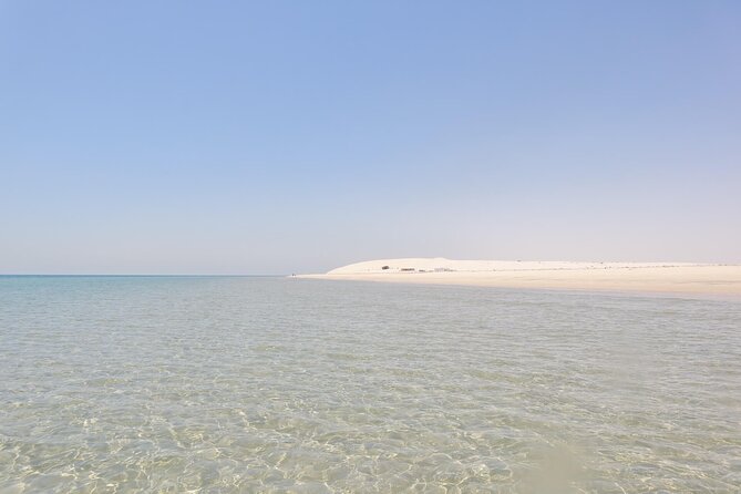 Full Day Desert Safari Doha/dinner included - Camel ride and photo stops: the human moments between the thrills