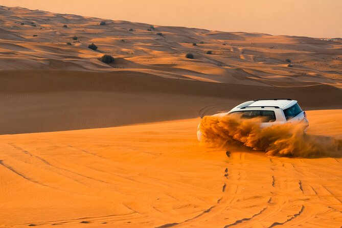 Full-Day Desert Safari with Buffet Dinner || Inland Sea Visit - Key Highlights You’ll Care About