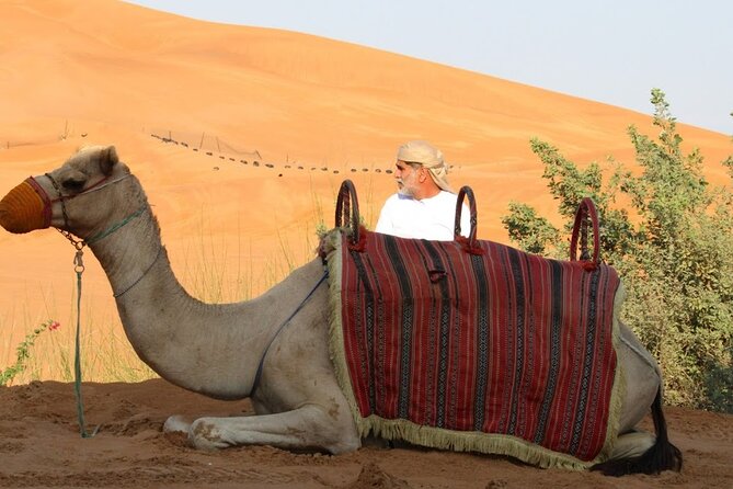 Full Day Desert Safari with Camp Access, Buffet Dinner,Camel Ride - Buffet dinner plus cultural experiences, without the stiff formality