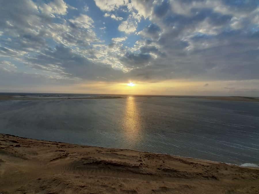 Full day desert safari with lunch or Dinner - Price and value: is $151 per person a fair deal?