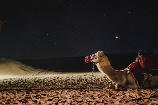 Full Day Qatar North and Desert Safari with pickup - Khor al Udaid Inland Sea: Dunes That Shape the Whole Day