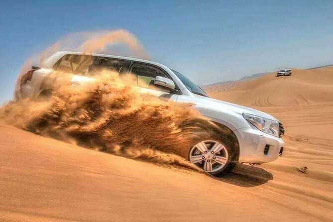 Full Day Qatar North and Desert Safari with pickup - Al Thakhira Mangroves: Where Birds and Fish Meet the Coast