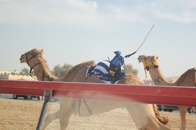 Full-Day Tour Qatar North And West - Al Jumail, Ash-Shahaniyah, and Zekreet Fort ruins in one desert shift