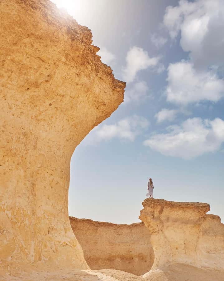 Full Day Tour to Qatar North And West With Pickup From Doha - Price and What $49 Buys You in Real Terms