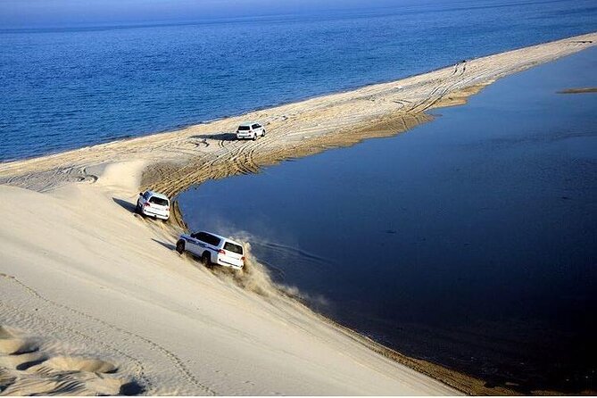 Half Day Desert Safari and Inland Sea - The short camel ride: quick, photogenic, and not a full commitment