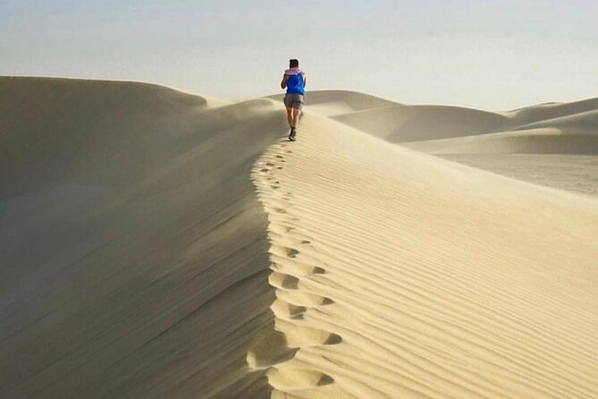Half Day Desert Safari and Inland Sea - Practical expectations: what to bring your focus for