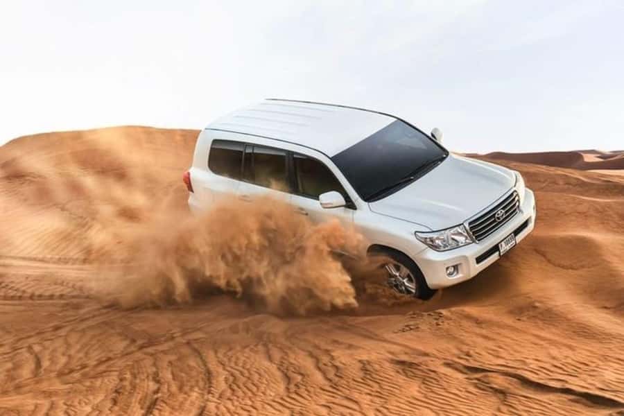 Half-Day Desert Safari For Cruise Ships Passngers. - Getting picked up close to your terminal in Doha
