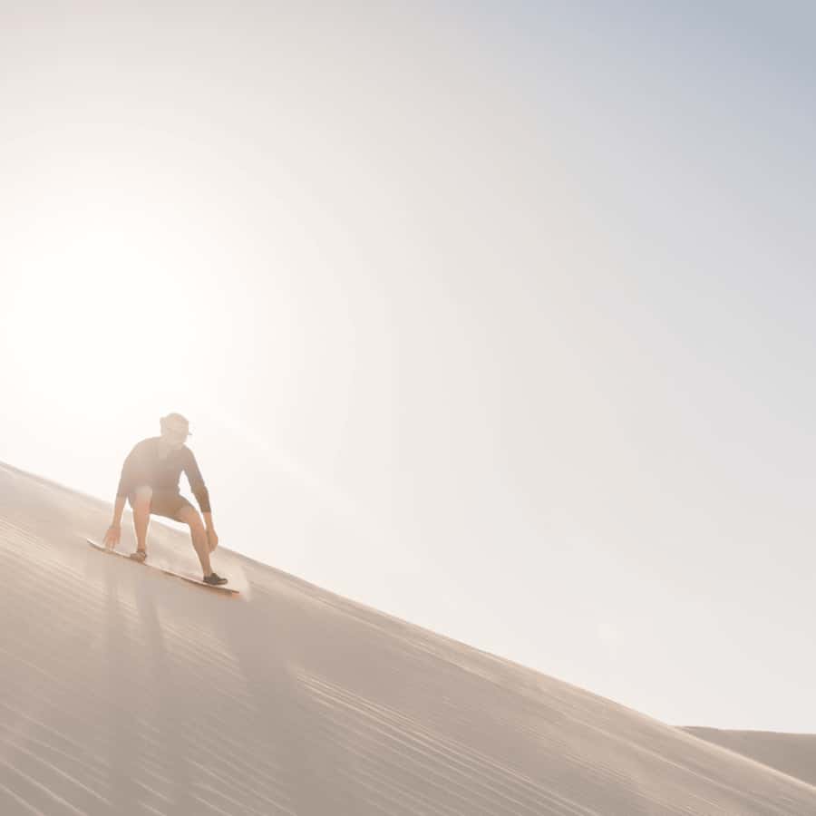 Half-Day Desert Safari For Cruise Ships Passngers. - Price and what you really get for about $29
