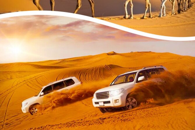 Half Day Desert Safari with Sand Boarding and Camel Ride - Qatar Desert Conservation Reserve: Dune Drive, Wildlife, and Sunset Photos