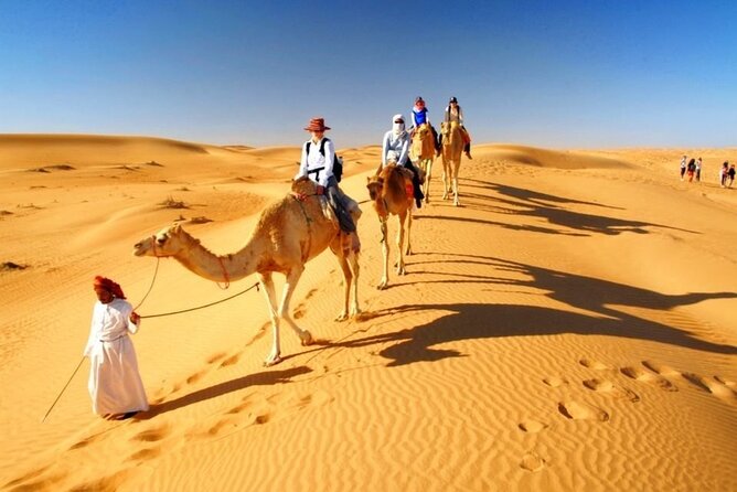 Half Day Desert Safari with Sand Boarding and Camel Ride - Price and Value: Is $59 Worth It for This Much Desert Time?