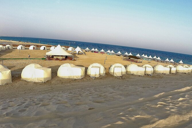 Half Day Desert Tour with Camel Ride - Key Highlights You Will Actually Feel