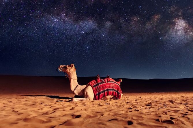 Half Day Night and Morning Desert Safari Camel and Sand Boarding - Sand Boarding and Dune Bashing, the Main Event