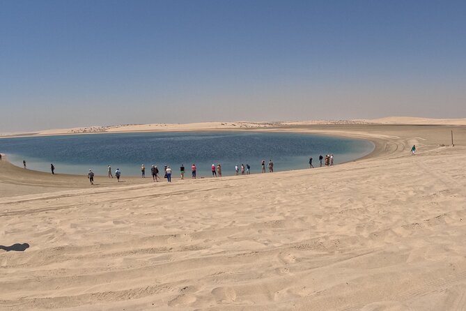 Half Day Night and Morning Desert Safari Camel and Sand Boarding - Who This Tour Fits Best (and Who Might Want Another Style)