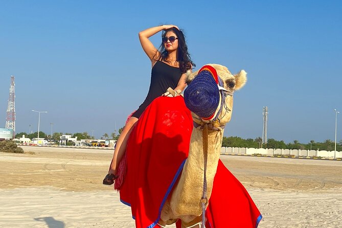 Half Day Night and Morning Desert Safari Camel and Sand Boarding - Sealine Beach Time: Camel Ride, Tea, and a Quick Reset