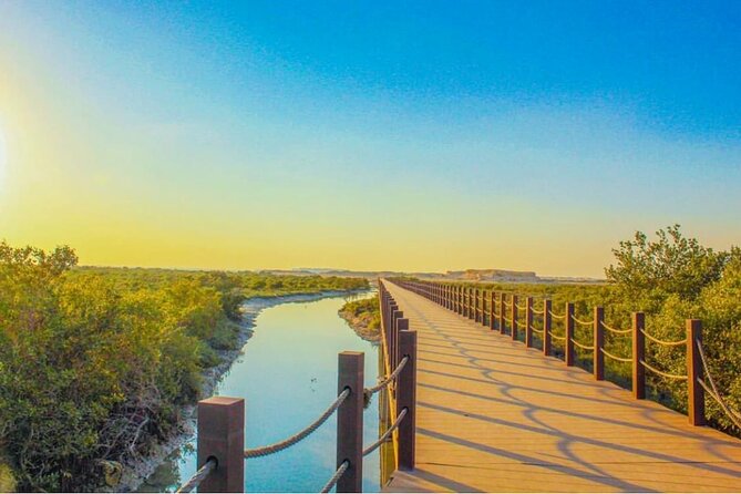 Half-Day North Qatar Tour - North Qatar in 5 hours: who this half-day tour is for