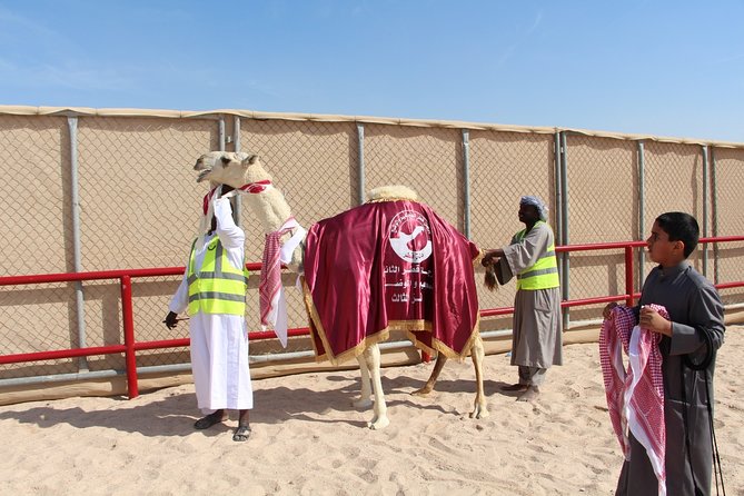 Half-Day Private Guided Camel Race Tour in Qatar - The 4-Hour Flow, From Track Arrival to Photo Moments