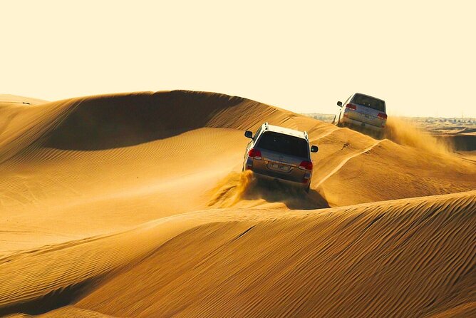 Half Day Safari Tour With Camel Ride and Sand Boarding in Doha - Key highlights to know before you go