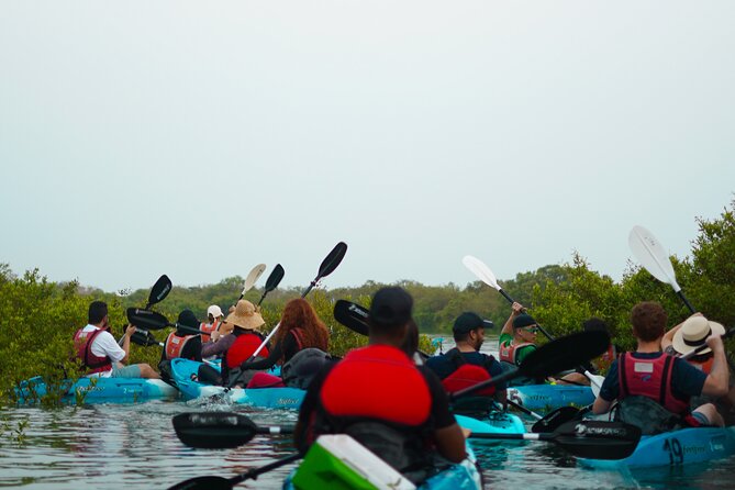 Kayak Through the Mangroves to the Purple Island - Kayak Briefing and Beginner Training: How You’ll Actually Learn to Paddle