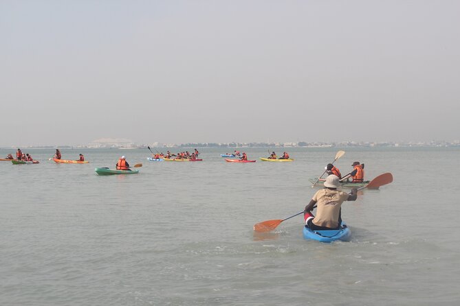 Mangrove Kayaking Purple Island Adventure - The Best Fit: Who Should Book This Mangrove Kayak Adventure?