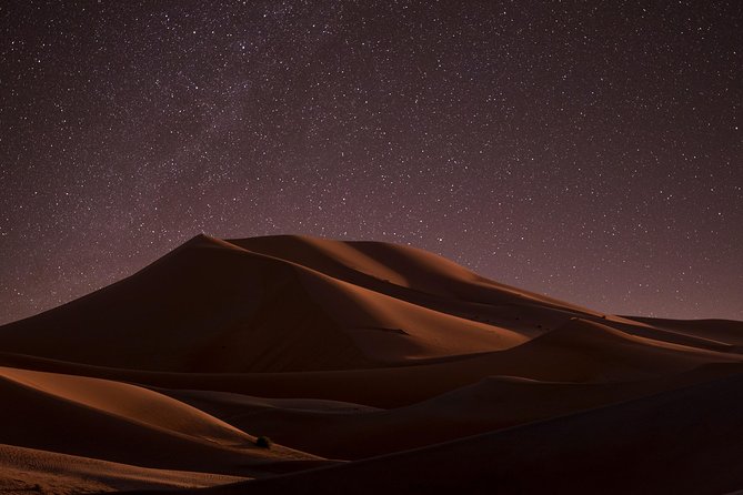 Night Desert Safari | Sand Boarding || Camel Ride || Inland Sea - Sealine Beach stop: tea, camels, and a quick taste