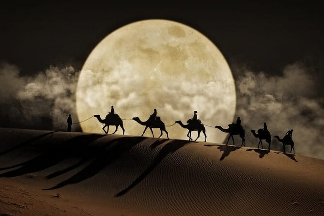 Night Desert Safari, Stargazing, Dune Driving & Inland Sea Visit - Key highlights to look for before you go