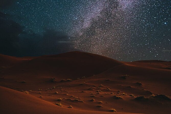 Night Desert Safari, Stargazing, Dune Driving & Inland Sea Visit - What’s Included, What’s Not, and How to Plan Your 4 Hours