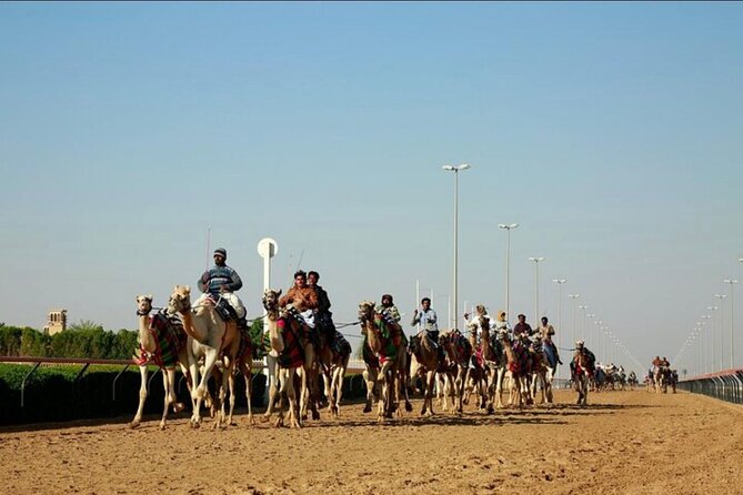 North and West of Qatar Full Day Private Tour - Al Zubara Fort: UNESCO archaeology that still feels active