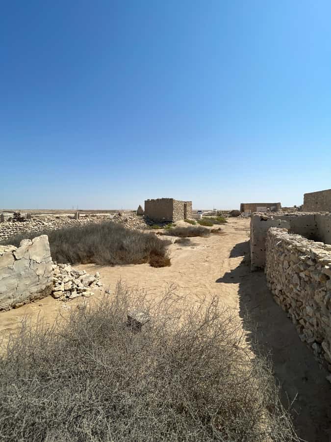 North of Qatar: Olafur Eliasson Exibit, Zubara fort & jumail - The drive itself: dune riding, Ain Mohammed, and northern water views