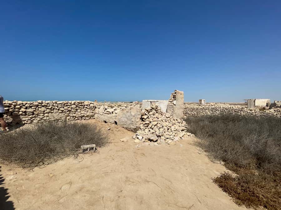 North of Qatar: Olafur Eliasson Exibit, Zubara fort & jumail - Who this tour suits best (and who should pick a different day)